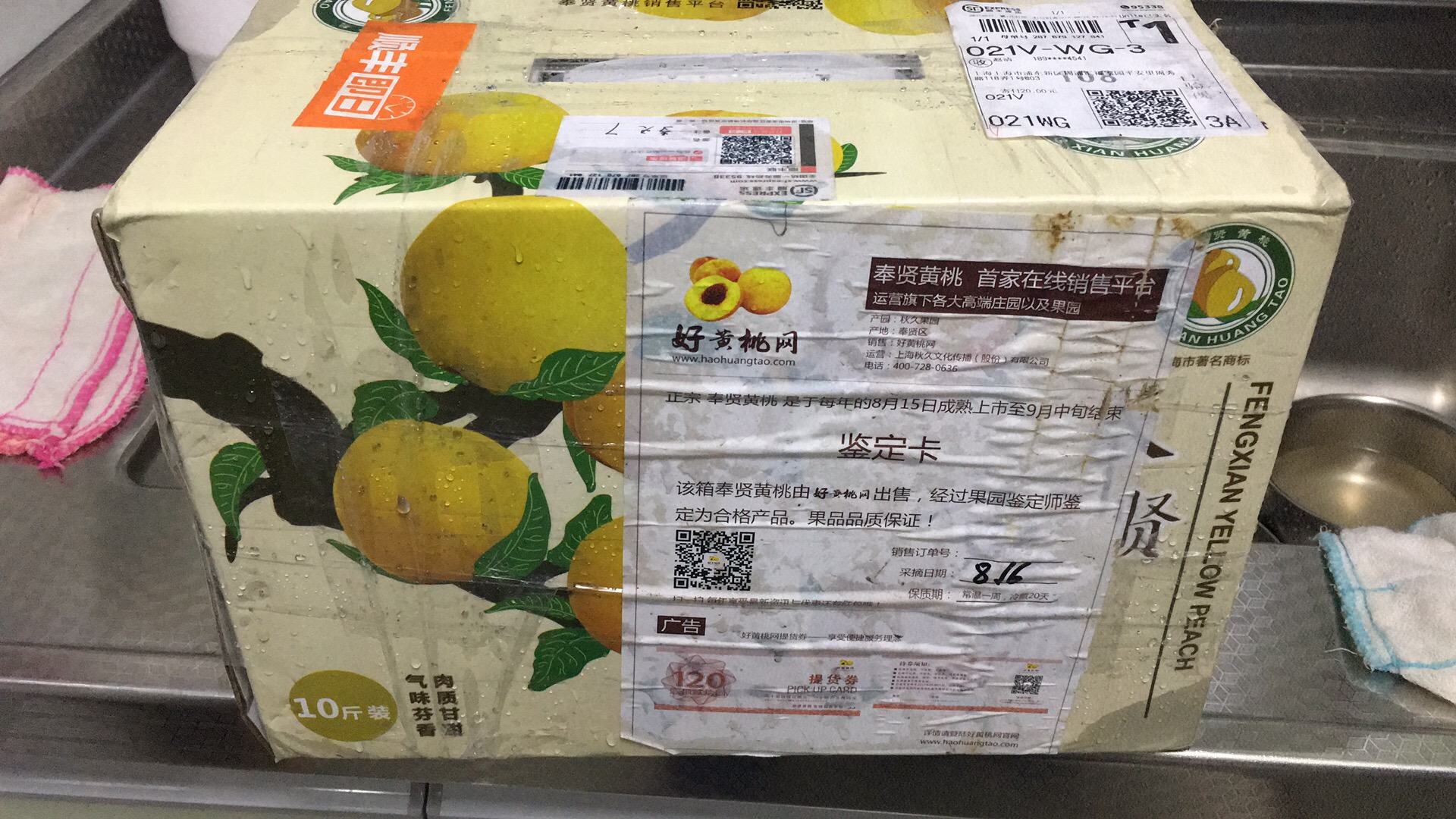 台风天收到黄桃  非常感谢  包装很好  样子不错  期待口感更好吃😋
